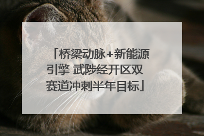 桥梁动脉+新能源引擎 武陟经开区双赛道冲刺半年目标
