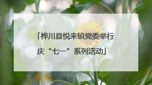 桦川县悦来镇党委举行庆“七一”系列活动