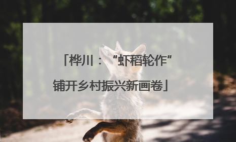桦川：“虾稻轮作”铺开乡村振兴新画卷