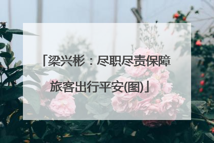 梁兴彬：尽职尽责保障旅客出行平安(图)