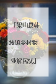梁山县韩垓镇乡村物业解民忧