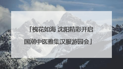 槐花如海 沈阳精彩开启国潮中医雅集汉服游园会