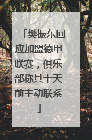 樊振东回应加盟德甲联赛，俱乐部称其十天前主动联系