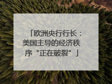 欧洲央行行长：美国主导的经济秩序“正在破裂”