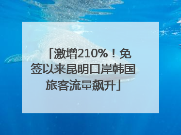 激增210%！免签以来昆明口岸韩国旅客流量飙升