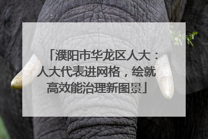 濮阳市华龙区人大：人大代表进网格，绘就高效能治理新图景