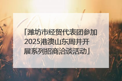 潍坊市经贸代表团参加2025港澳山东周并开展系列招商洽谈活动