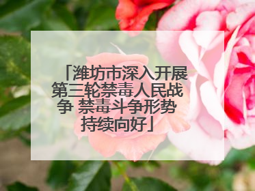 潍坊市深入开展第三轮禁毒人民战争 禁毒斗争形势持续向好