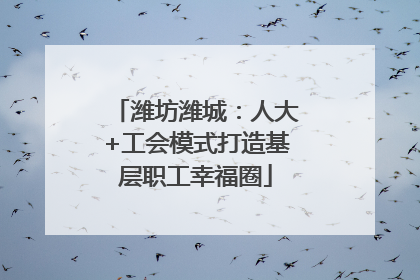 潍坊潍城：人大+工会模式打造基层职工幸福圈