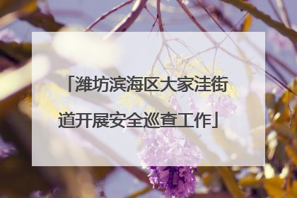 潍坊滨海区大家洼街道开展安全巡查工作