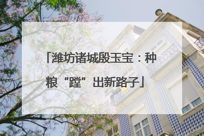 潍坊诸城殷玉宝：种粮“蹚”出新路子