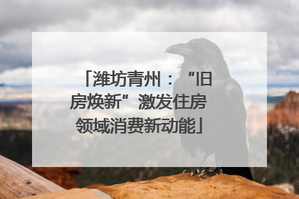 潍坊青州：“旧房焕新”激发住房领域消费新动能