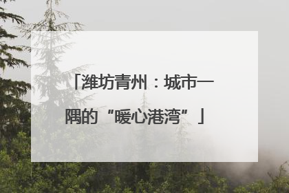 潍坊青州：城市一隅的“暖心港湾”