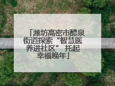 潍坊高密市醴泉街道探索“智慧医养进社区” 托起幸福晚年