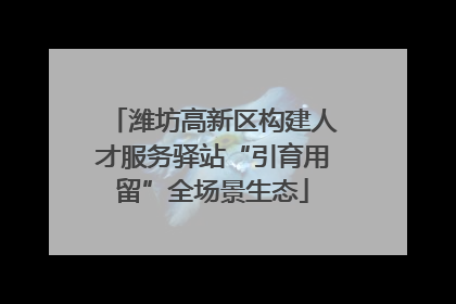 潍坊高新区构建人才服务驿站“引育用留”全场景生态