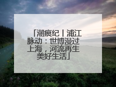潮痕纪丨浦江脉动：世博漫过上海，河流再生美好生活