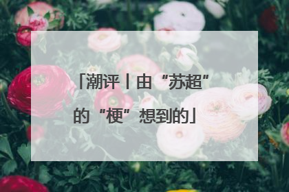 潮评丨由“苏超”的“梗”想到的