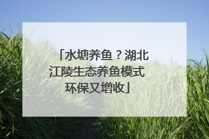 水塘养鱼？湖北江陵生态养鱼模式环保又增收
