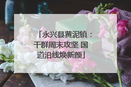 永兴县黄泥镇：干群周末攻坚 国道沿线焕新颜