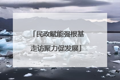 民政赋能强根基 走访聚力促发展