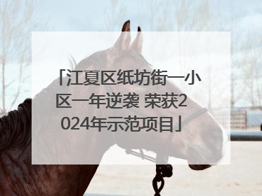 江夏区纸坊街一小区一年逆袭 荣获2024年示范项目
