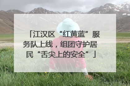 江汉区“红黄蓝”服务队上线，组团守护居民“舌尖上的安全”