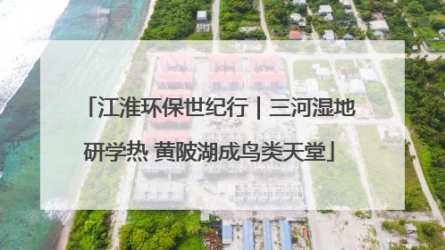 江淮环保世纪行｜三河湿地研学热 黄陂湖成鸟类天堂