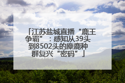 江苏盐城直播“鹿王争霸”：感知从39头到8502头的麋鹿种群复兴“密码”