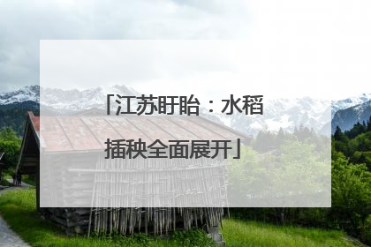 江苏盱眙：水稻插秧全面展开