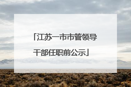 江苏一市市管领导干部任职前公示