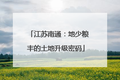 江苏南通：地少粮丰的土地升级密码