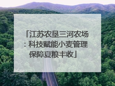 江苏农垦三河农场：科技赋能小麦管理保障夏粮丰收
