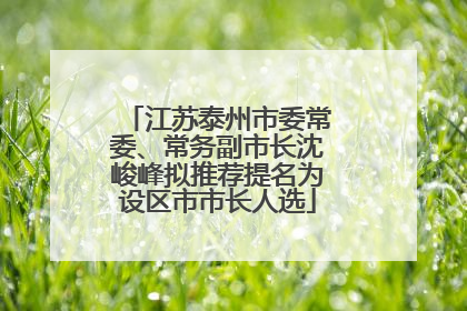 江苏泰州市委常委、常务副市长沈峻峰拟推荐提名为设区市市长人选