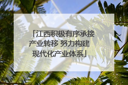 江西积极有序承接产业转移 努力构建现代化产业体系