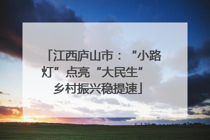 江西庐山市：“小路灯”点亮“大民生” 乡村振兴稳提速