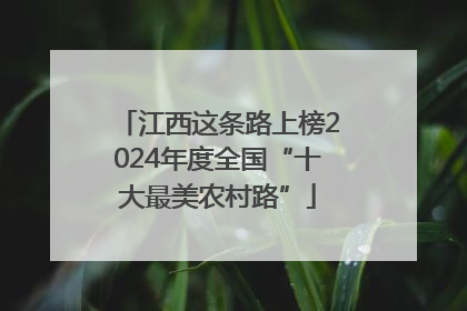 江西这条路上榜2024年度全国“十大最美农村路”