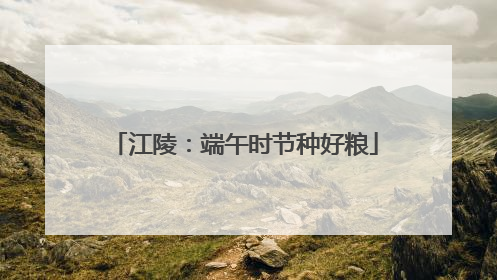 江陵：端午时节种好粮