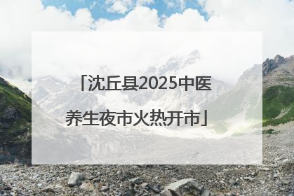 沈丘县2025中医养生夜市火热开市