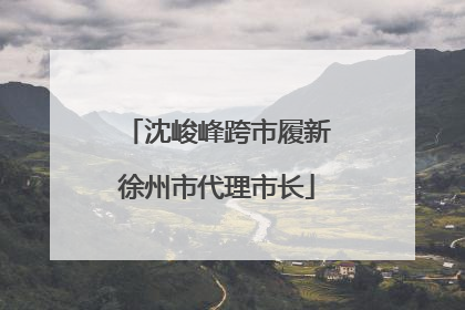 沈峻峰跨市履新徐州市代理市长