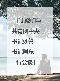 沈晓明与共青团中央书记处第一书记阿东一行会谈