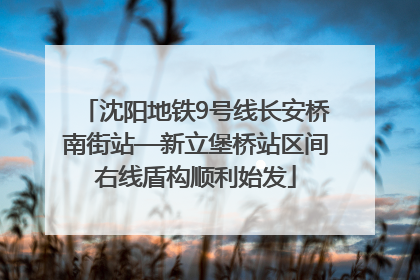 沈阳地铁9号线长安桥南街站—新立堡桥站区间右线盾构顺利始发