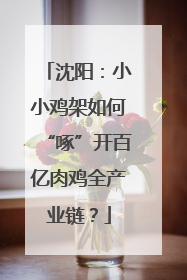 沈阳：小小鸡架如何“啄”开百亿肉鸡全产业链？
