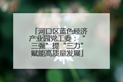 河口区蓝色经济产业园党工委：“三强”提“三力”赋能高质量发展