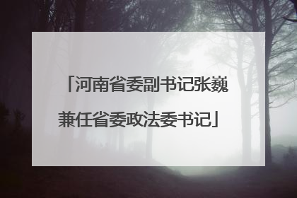 河南省委副书记张巍兼任省委政法委书记