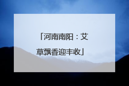 河南南阳：艾草飘香迎丰收