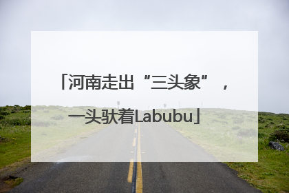 河南走出“三头象”，一头驮着Labubu
