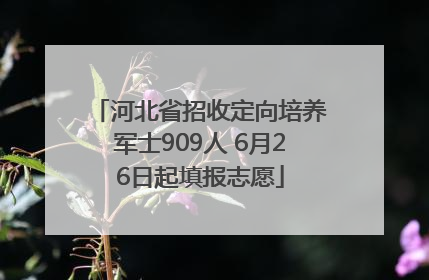河北省招收定向培养军士909人 6月26日起填报志愿