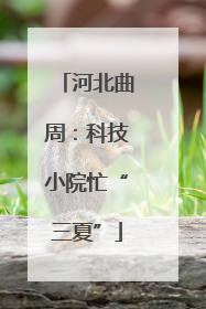 河北曲周：科技小院忙“三夏”