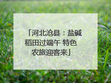 河北沧县：盐碱稻田过端午 特色农旅迎客来