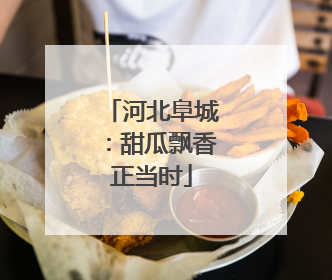 河北阜城：甜瓜飘香正当时